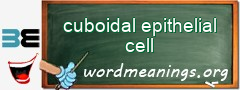 WordMeaning blackboard for cuboidal epithelial cell